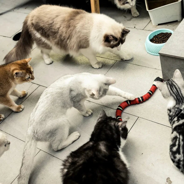 68de4c1d2623b2ea8abdcca1_3.webp__PID:514fb0fb-043f-4b08-9d62-d1bbb1634f6a